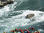 Roaring Meg, New Zealand