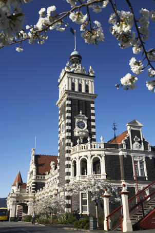 Spring blossoms outside the historic Dunedin Railway Station.
