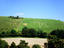 Cerne Abbas Giant, with famous giant penis, ancient chalk figure carved in hillside. Joined in 2007 by Homer Simpson.