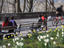 Image_26447-59