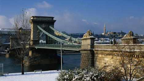 Image_2645-7