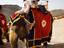 Elephant ride, India
