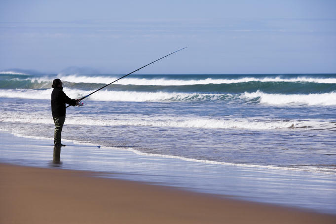 Surf fisherman casting from beach.