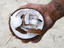 Holding freshly cracked coconut in hand at Fakarava Atoll.