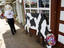 Bessie the cow at Aloha Cowboy, Makawao, Upcountry.