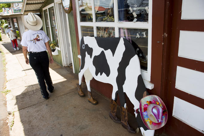 Bessie the cow at Aloha Cowboy, Makawao, Upcountry.