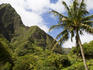 Iao Valley State Park, Wailuku.