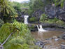 The pools of Oheo Gulch tinted brown due to an upcountry landslide and closed for swimming due to flash floods - requested pic was for swimmers in the pools. East Maui, beyond Hana.