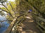 Brisbane River, Brisbane