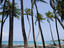 Image_26467-124