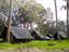Namakanipaio campground, HAVO, Hawaii