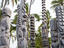 Image_26467-84