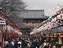 Crowd of people under blossom row at Senso-ji Temple, Asakusa district.