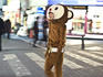Promoter in animal costume on street crossing, Ikebukuro district.