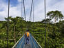 Treetop walk at Macritchie.