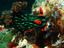 Image_26492-26
