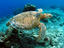 Image_26492-27