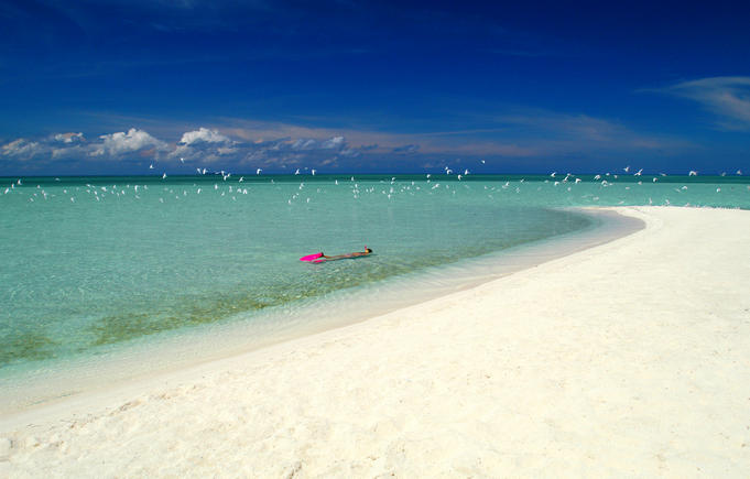 Snorkelling in the clear azure waters at a beach in Malaysian Borneo's Sipadan-Kapali-Mabul region.