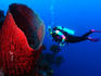 Diver exploring the amazing sea life in the reefs of Malaysian Borneo's Sipadan-Kapali-Mabul region.