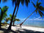 Image_26492-42