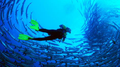 Image_26492-7
