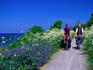 Cycling the great trails near Hasle in Bornholm.