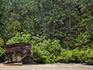 Weathered rock and beach-side palm trees.