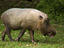 Image_26505-9