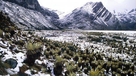 Image_2651-10