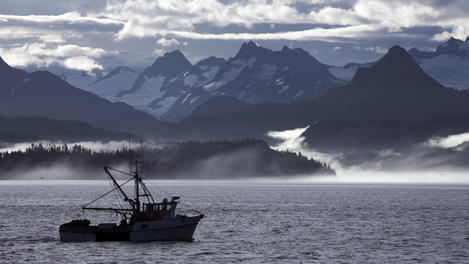 Image_26511-13