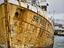 Boat, Reykjavík
