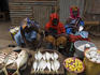 Fish vendors in Serekunda Market.