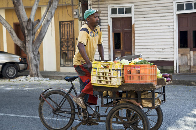 Produce vendor pedalling through the streets on bicycle.