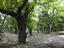 Image_26531-64