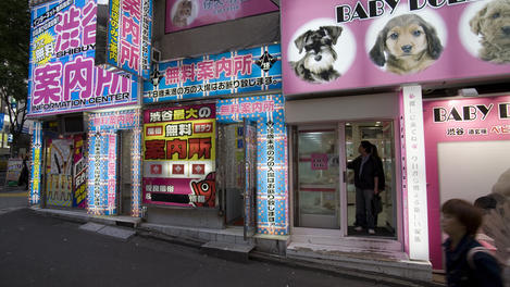 Image_26531-99