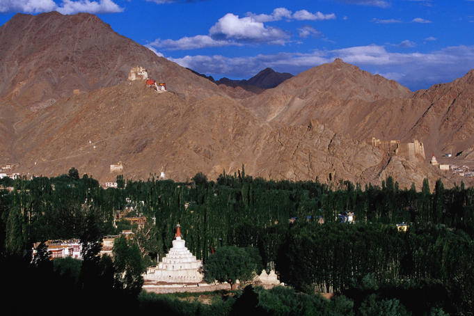 Stupa and ridge with palace and Namgyal Tsemo Monastery.