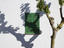 Tree shadow on wall, Mallorca