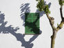 Green window with tree shadow on wall.