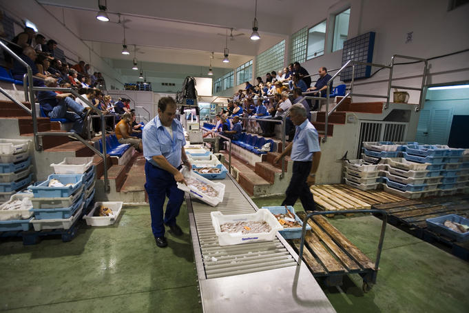 Early morning fish auction at Palma Fish Market.
