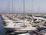 Yachts at Portals Nous Marina.