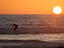 People surfing , San Diego