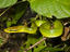 Image_26564-11