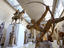 Musee Bourdelle, Paris