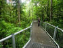 Daintree National Park.