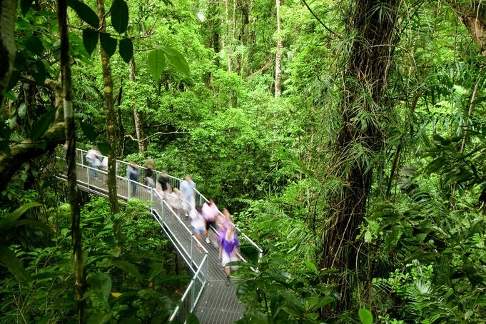 Daintree National Park