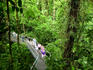 Daintree National Park