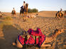 Resting camels at dusk in Sam sand dunes near Jaisalmer.