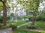 Image_26585-8