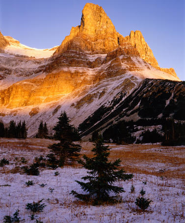 Monarch Mountain in golden light, Canadian Rockies.