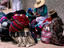 Campesinas in colourful clothes, La Paz